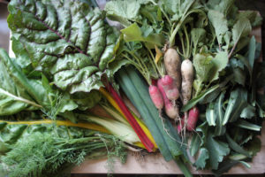 photo of vegetables