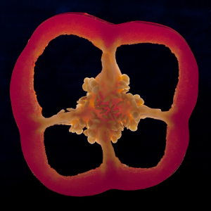 photo of red pepper cross section